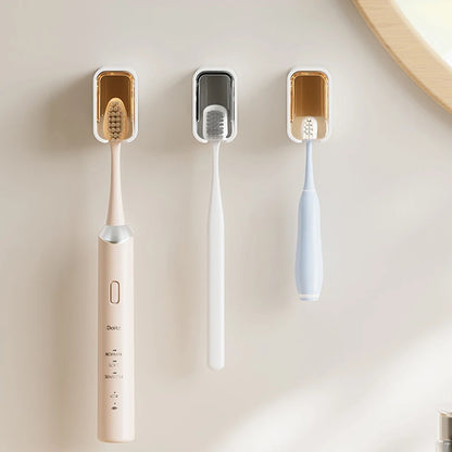 Wall Mounted Toothbrush Holder