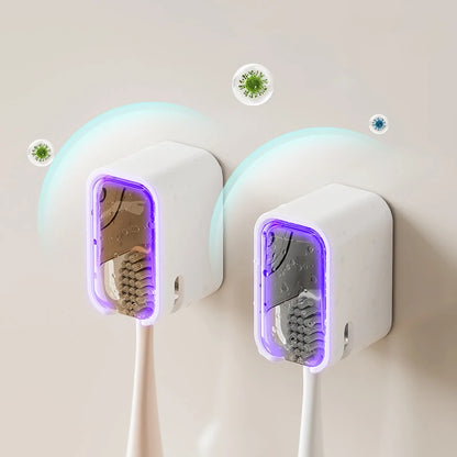 Wall Mounted Toothbrush Holder